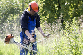 Gartenpflege und Gartenbau, Quelle: Carsten Nadale, Pixelio.de