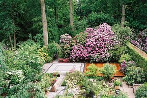 Gartenpflege und Gartengestatlung in Hamburg