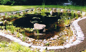 Gartenteiche anlegen in Hamburg